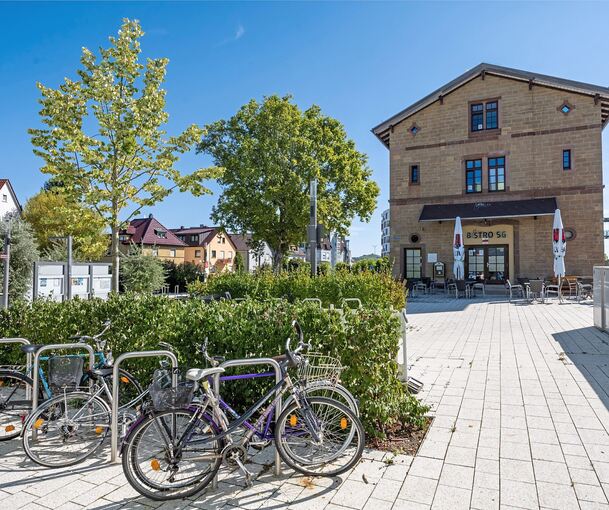 Themen des Ditzinger Jugendgemeinderates sind unter anderem bessere Busverbindungen, mehr Freizeitangebote, besseres öffentliches WLAN sowie ein neues oder renoviertes Jugendhaus