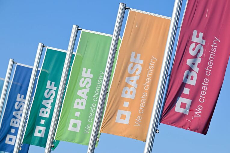 BASF-Flaggen