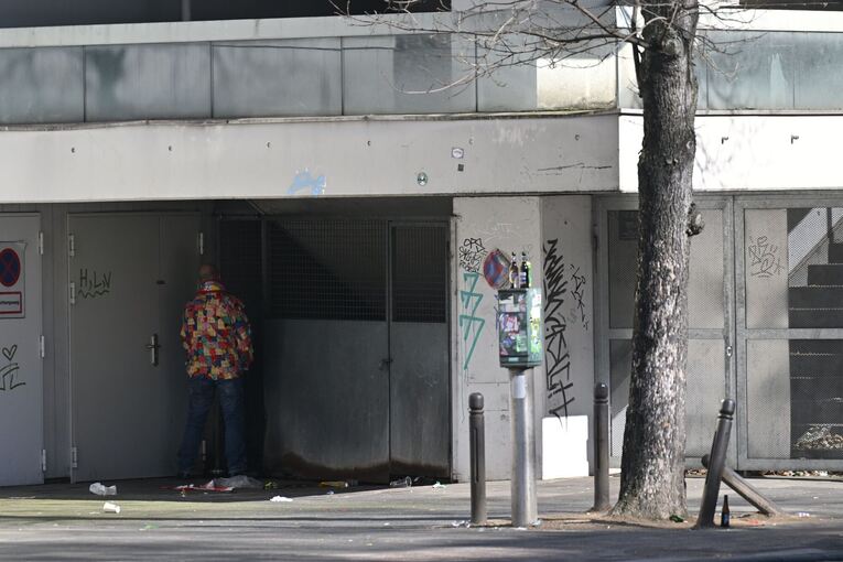 Wildpinkler im Karneval