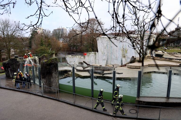 Feuerwehr hilft Eisbären im Zoo