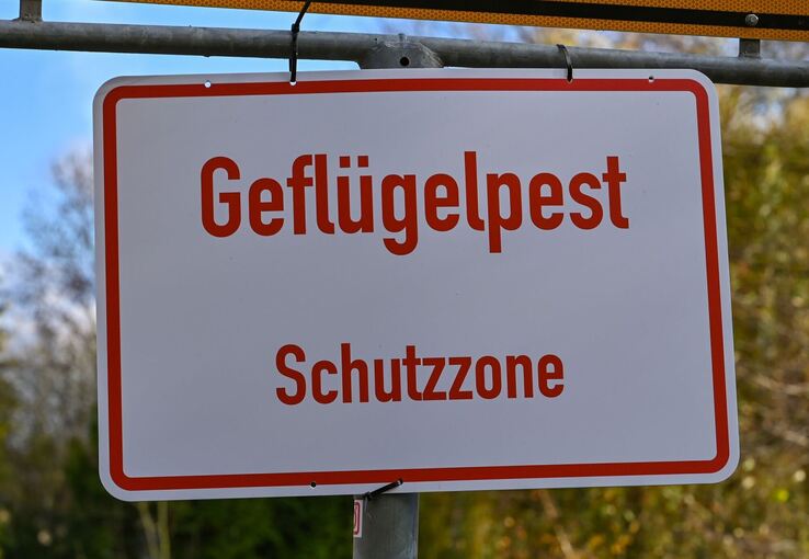 Schild «Geflügelpest»