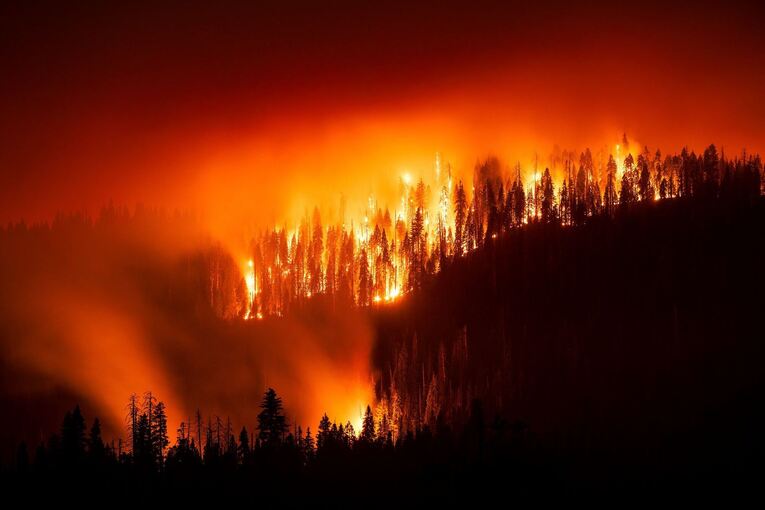 Waldbrand in Kalifornien