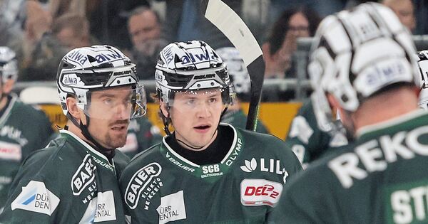 All wins and losses of the sports teams in the Ludwigsburg district