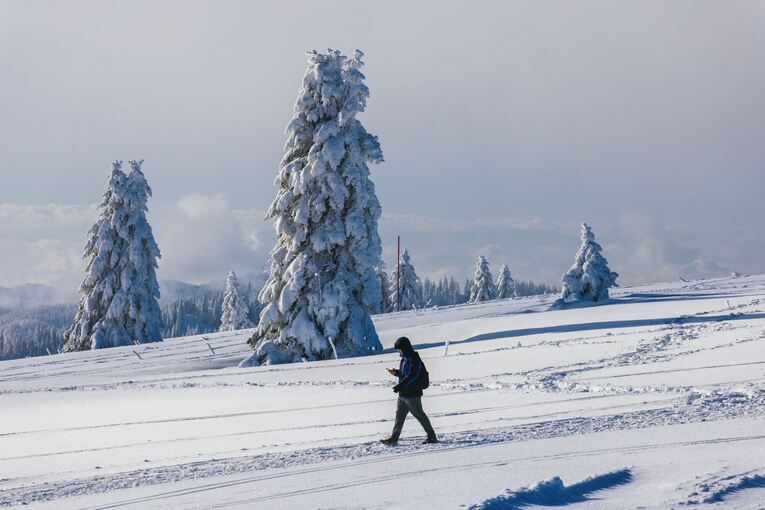 Spaziergänger auf dem Feldberg