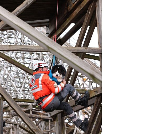 Die Bergwacht Unterland bot ein Abseiltraining mit Hunden an.