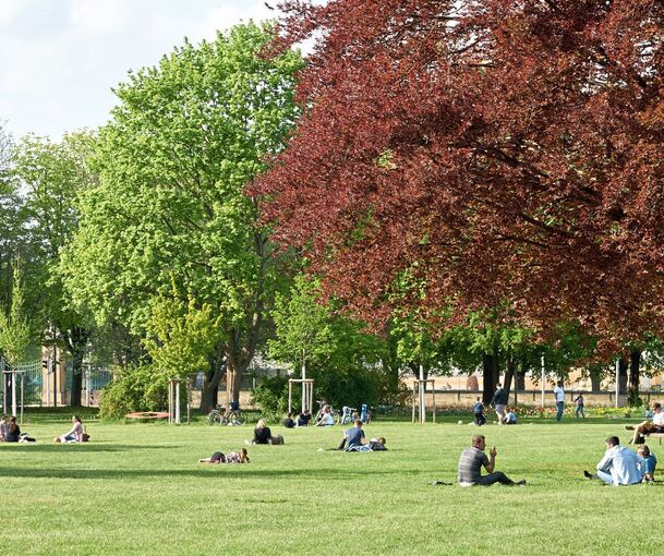 Ein besonderes Event plant der Stadtverband Musik auf der Bärenwiese. Ein besonderes Event plant der Stadtverband Musik auf der Bärenwiese.