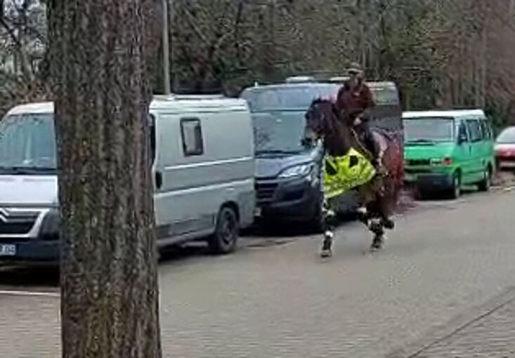 Reitlehrerin auf Pferd sorgt für ungewöhnliches Blitzerfoto