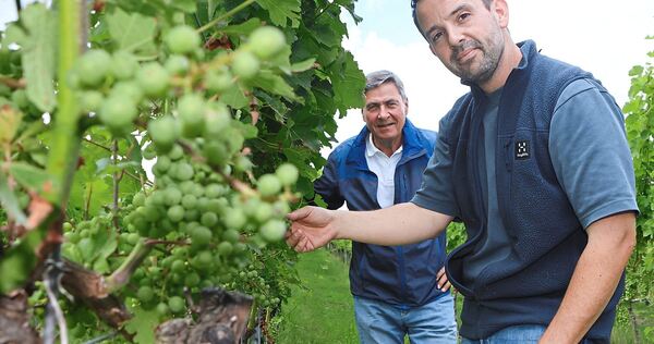 Herbert Müller (links) und Fabian Alber-Gailing wünschen sich von der Politik ein Bekenntnis zu den Steillagen. Herbert Müller (links) und Fabian Alber-Gailing wünschen sich von der Politik ein Bekenntnis zu den Steillagen.