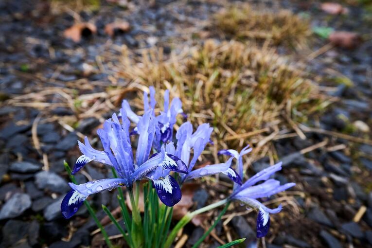 Wetter aus Rheinland-Pfalz