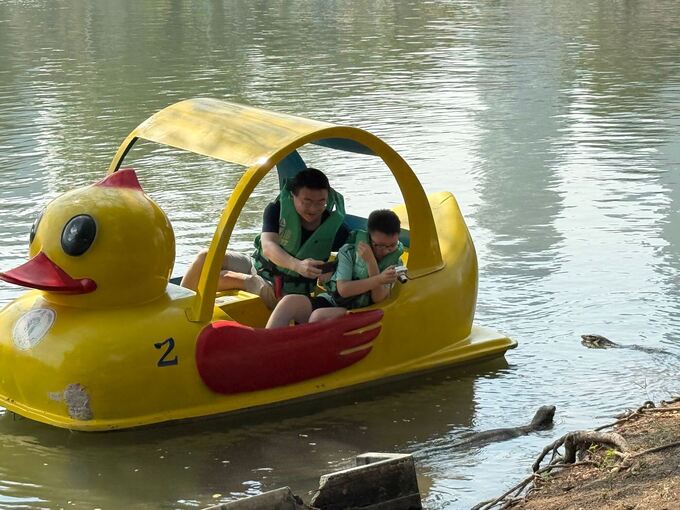 Bindenwaran in Bangkok