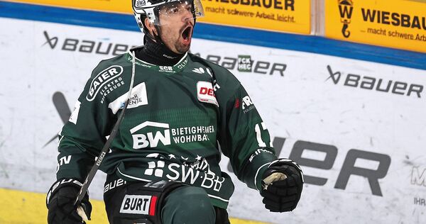 Die Bietigheim Steelers sind den Playoffs ganz nah.