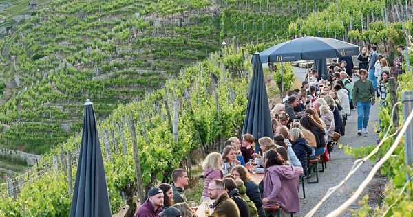 Das Käsbergfest in Mundelsheim: Hier fließt der Wein ohne Zweifel aus einem besonderen Anlass. Bei anderen Veranstaltungen ist das fraglich.