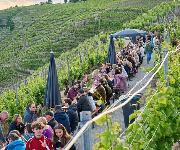 Das Käsbergfest in Mundelsheim lockt mit einem tollen Blick auf die Weinberglandschaft der Neckarschleife. Das Käsbergfest in Mundelsheim lockt mit einem tollen Blick auf die Weinberglandschaft der Neckarschleife.