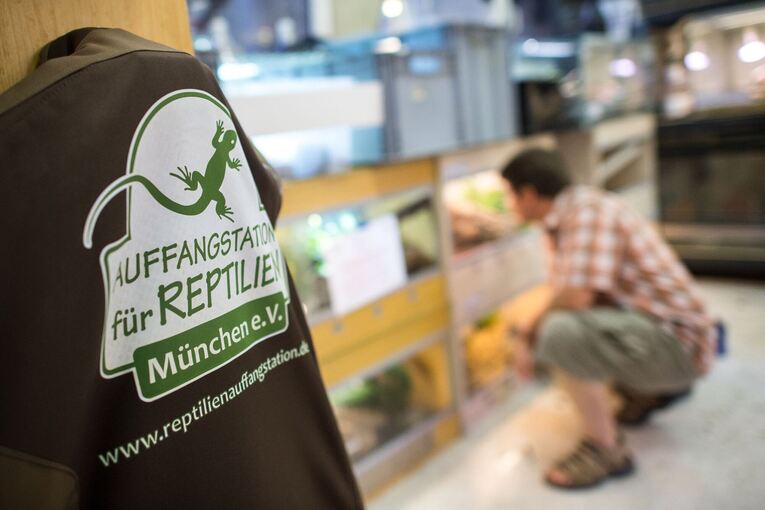 Reptilienstation München