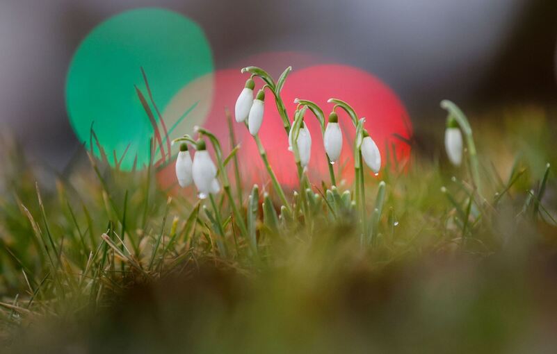 Wetter in Baden-Württemberg