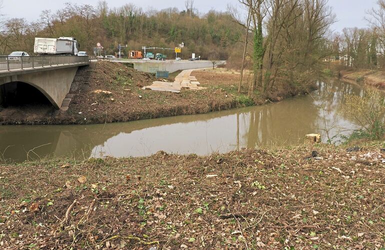 Für den Neubau der Murrbrücke an der Landesstraße 1100 wurde bereits kräftig abgeholzt.