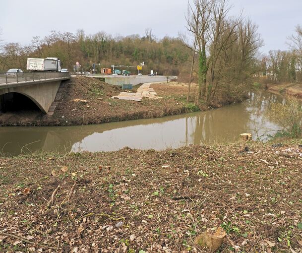 Für den Neubau der Murrbrücke an der Landesstraße 1100 wurde bereits kräftig abgeholzt.