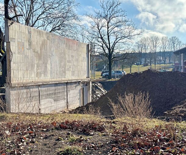 Der Torso im Bürgergarten – das „Wassermann“-Kunstwerk versteckte sich zuletzt hinter einer Staubschicht.