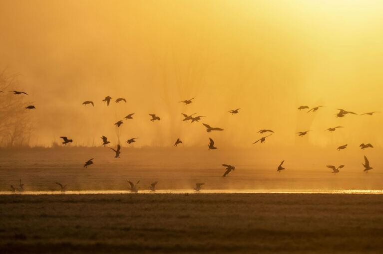 Frühling in Baden-Württemberg
