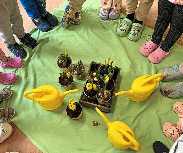 Im Osterholz-Kindergarten haben die Kinder ihre Blumen beim Wachsen begleitet.