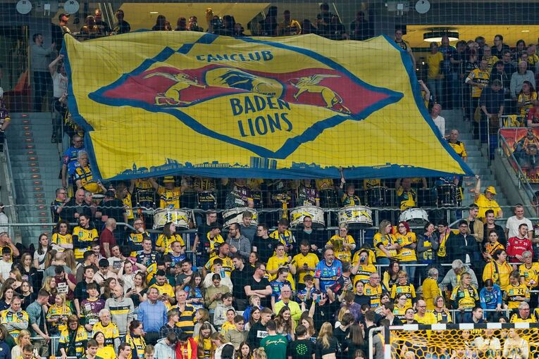 Rhein-Neckar Löwen