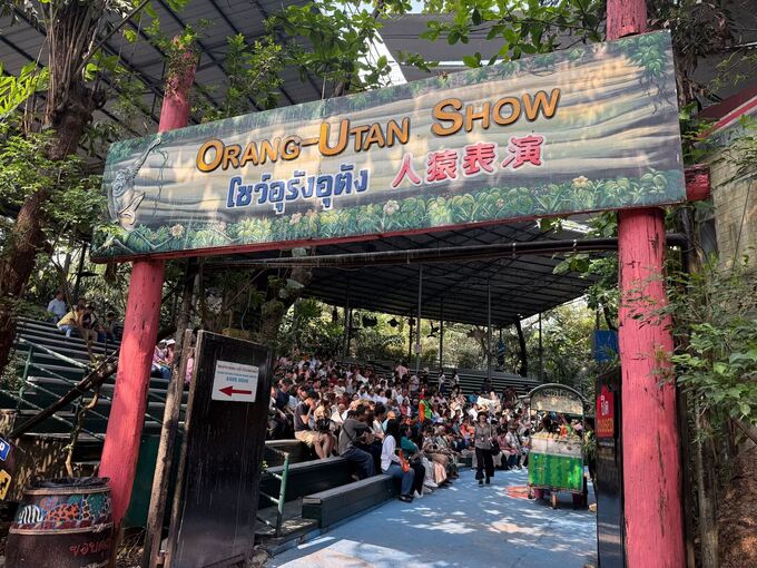 Orang-Utans als Touristenattraktion in Thailand