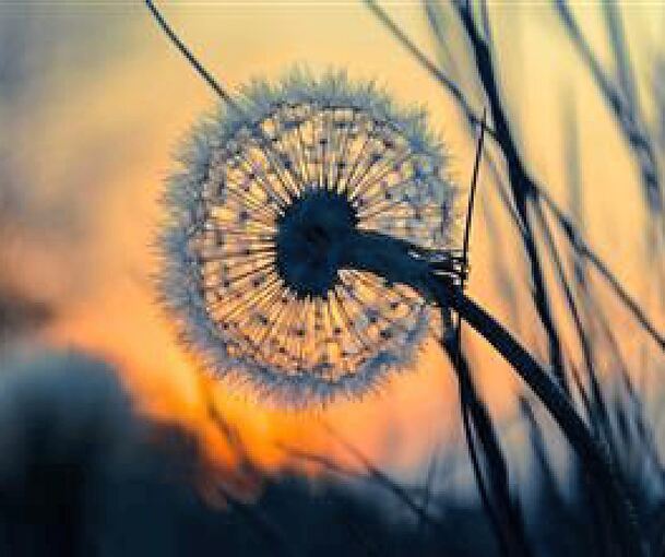 Der Verlust eines geliebten Menschen stellt das Leben auf den Kopf.