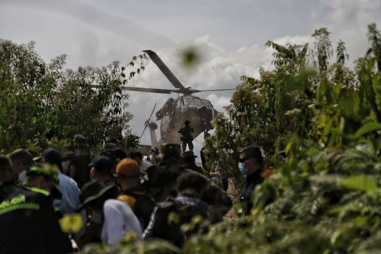 Koka-Anbau in Kolumbien