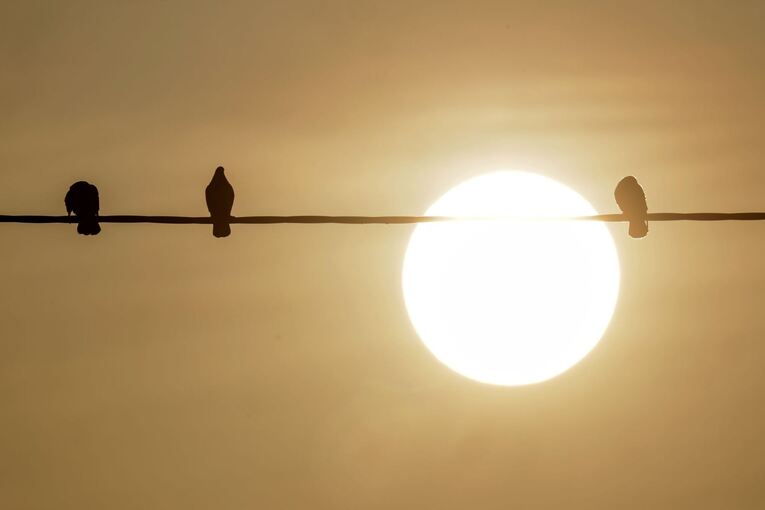 Saharastaub - trübe Sonne am grauen Himmel Saharastaub - trübe Sonne am grauen Himmel