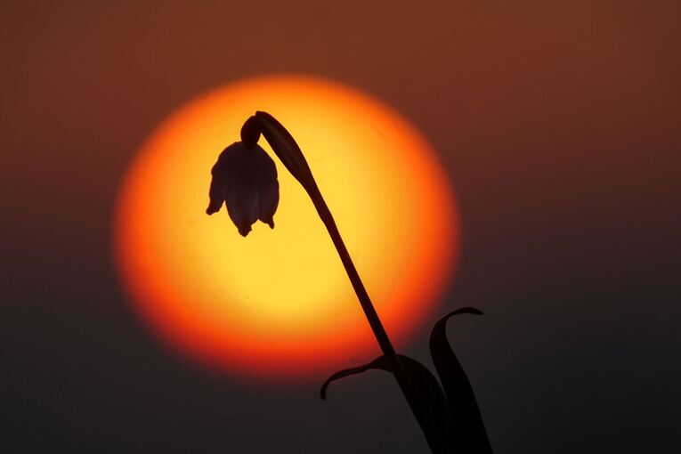Sonnenaufgang in Baden-Württemberg