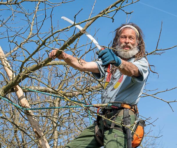 Stephan Seidl beim Baumschnitt.