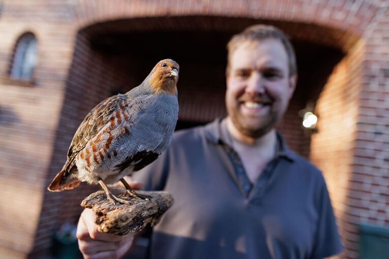 Rettungsmission Rebhuhn