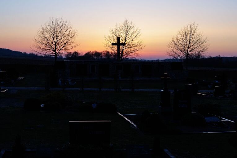 Rettungsmission Rebhuhn