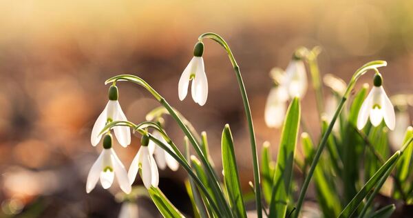 Frühlingswetter in Baden-Württemberg