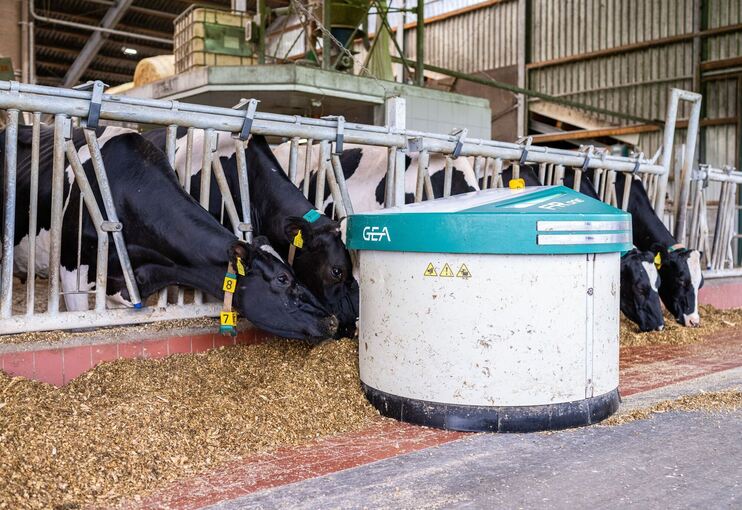 Fütterungsroboter von Gea