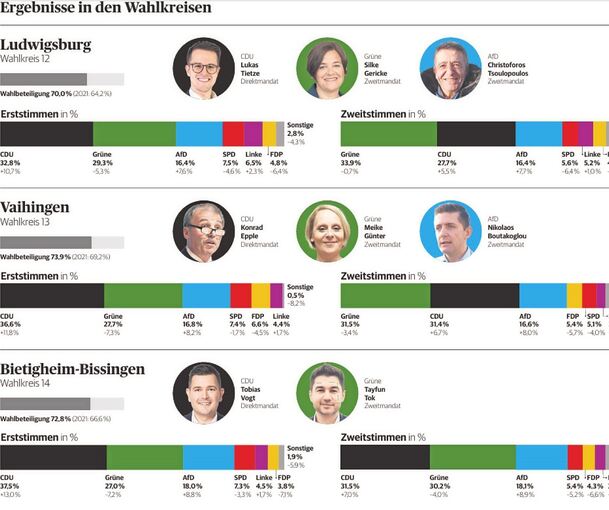 Acht Abgeordnete vertreten künftig den Landkreis Ludwigsburg.