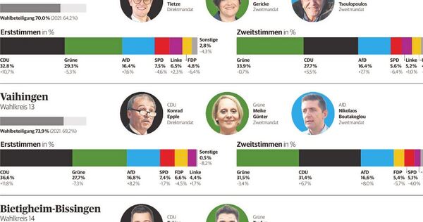 Acht Abgeordnete vertreten künftig den Landkreis Ludwigsburg.