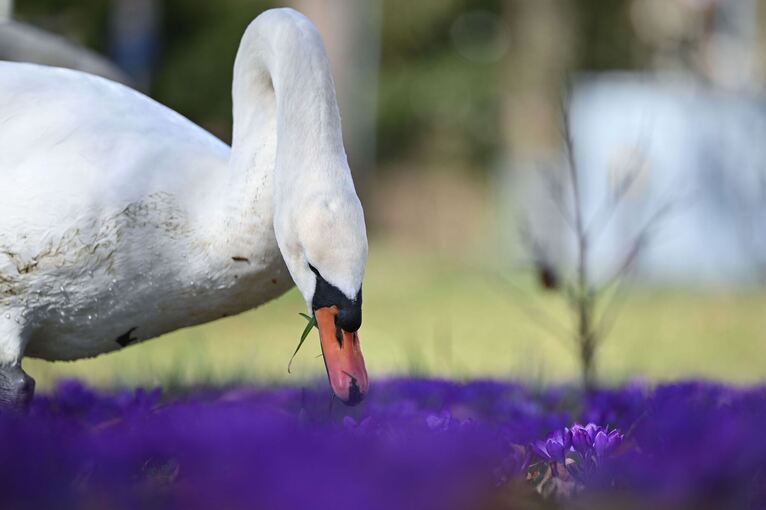 Wetter in Baden-Württemberg