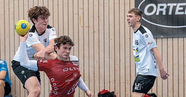 Bereits Meister: Nils Skalicky (vorne) und die HB Ludwigsburg.