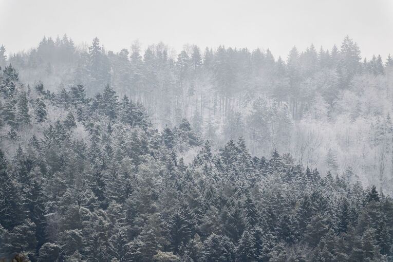 Winter in Baden-Württemberg