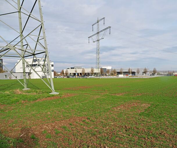 Hochspannungsleitungen führen über das Gebiet, das sich die Stadt Freiberg als Gewerbefläche sichern möchte. Im Hintergrund Unternehmen an der Porschestraße.