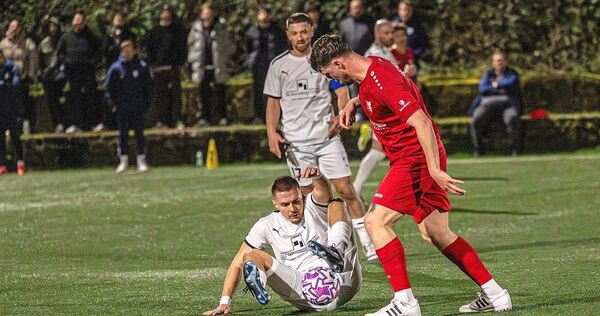 In der Auseinandersetzung ist es in der Schlussphase zu kleineren Rangeleien gekommen.