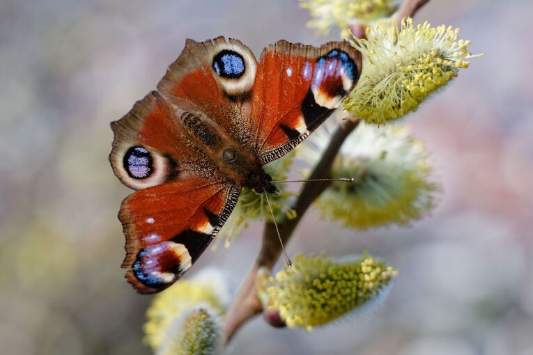 Wetter in Baden-Württemberg