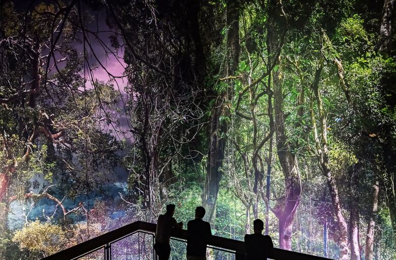 360-Grad-Panorama Amazonien