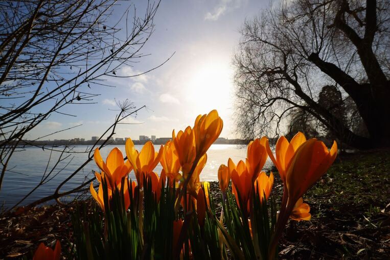 Frühling an der Alster Frühling an der Alster