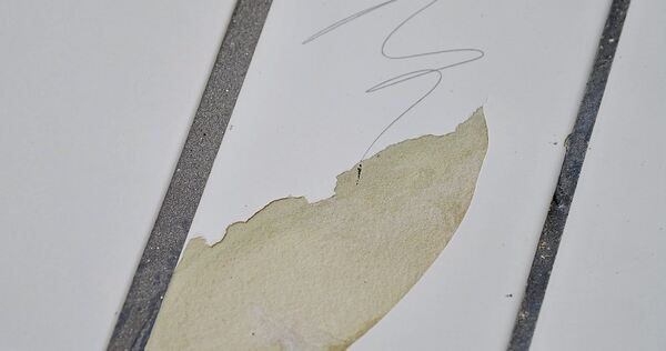 Die Freibadsaison hat Spuren hinterlassen. Die Freibadsaison hat Spuren hinterlassen.