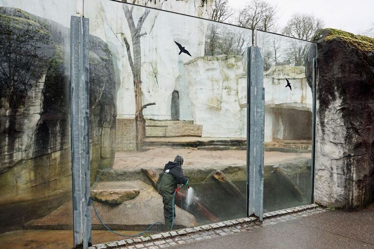 Verwüstungen im Karlsruher Zoo