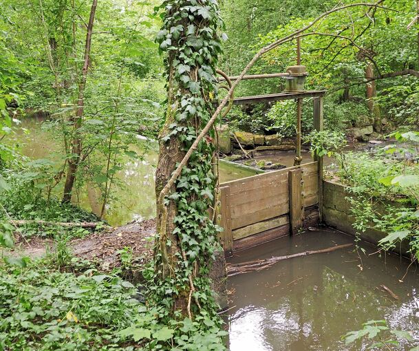 Die Glems bei Schwieberdingen.