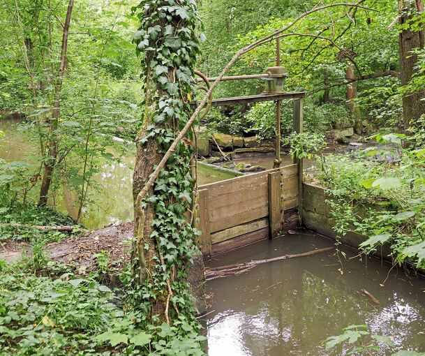 Das Landratsamt hat verfügt, dass aus Flüssen und Bächen kein Wasser mehr entnommen werden darf.
