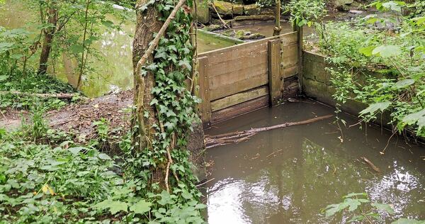 Das Landratsamt hat verfügt, dass aus Flüssen und Bächen kein Wasser mehr entnommen werden darf. Das Landratsamt hat verfügt, dass aus Flüssen und Bächen kein Wasser mehr entnommen werden darf.